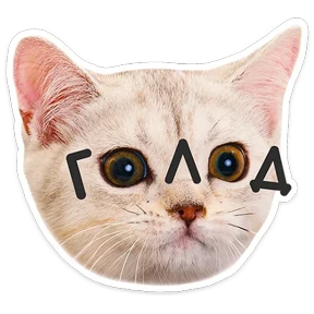 КотоПесики №13