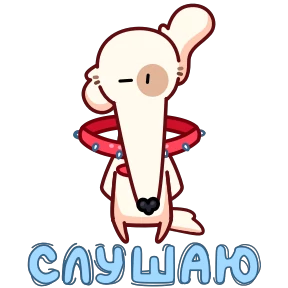 Собака сутулая №21