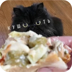 Котопак №19
