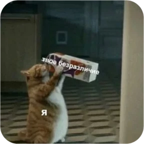 Котопак №18