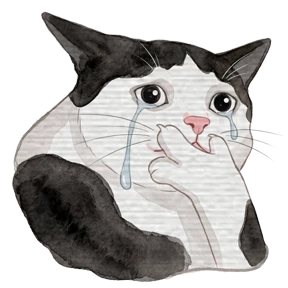 Мемные котики №15
