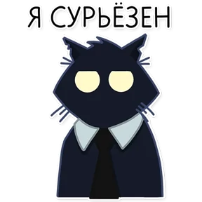 Черный кот №1