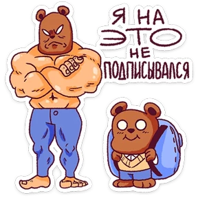 Папа медведь №14