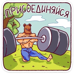 Папа медведь №10